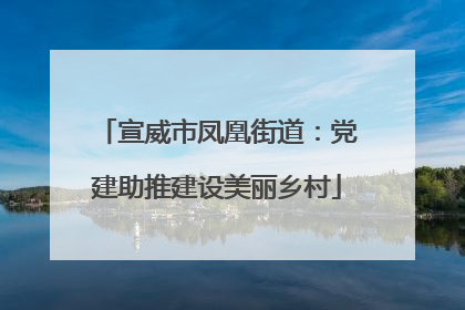 宣威市凤凰街道：党建助推建设美丽乡村