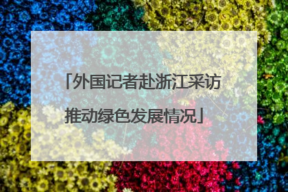 外国记者赴浙江采访推动绿色发展情况