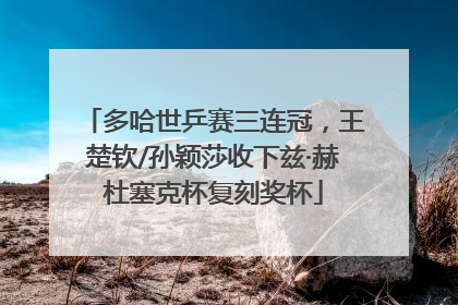 多哈世乒赛三连冠，王楚钦/孙颖莎收下兹·赫杜塞克杯复刻奖杯