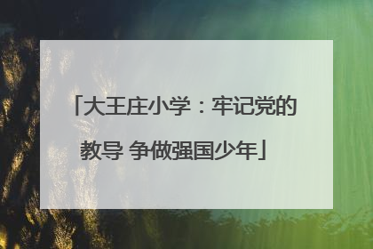大王庄小学：牢记党的教导 争做强国少年
