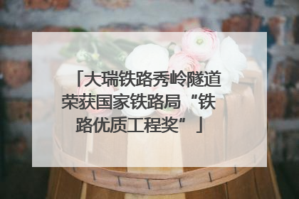 大瑞铁路秀岭隧道荣获国家铁路局“铁路优质工程奖”
