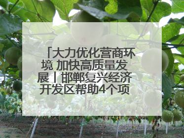 大力优化营商环境 加快高质量发展丨邯郸复兴经济开发区帮助4个项目及时落地