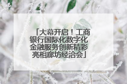 大幕开启！工商银行国际化数字化金融服务创新精彩亮相廊坊经洽会