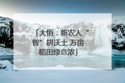 大悟：新农人“智”耕沃土 万亩稻田绿意浓