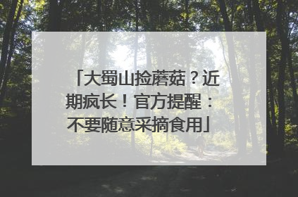 大蜀山捡蘑菇？近期疯长！官方提醒：不要随意采摘食用