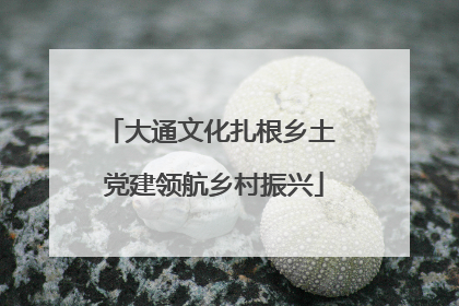 大通文化扎根乡土 党建领航乡村振兴