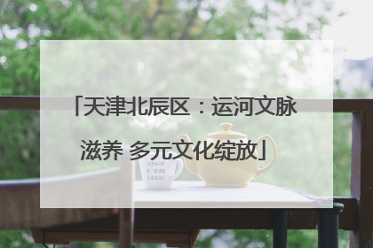 天津北辰区：运河文脉滋养 多元文化绽放
