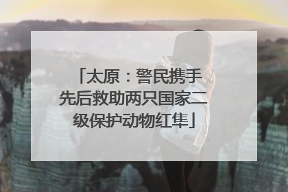 太原：警民携手 先后救助两只国家二级保护动物红隼