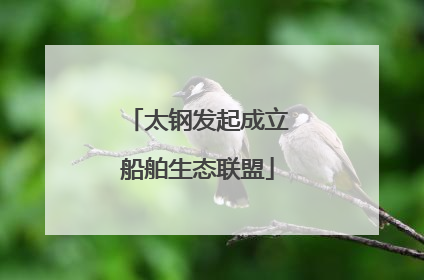 太钢发起成立船舶生态联盟