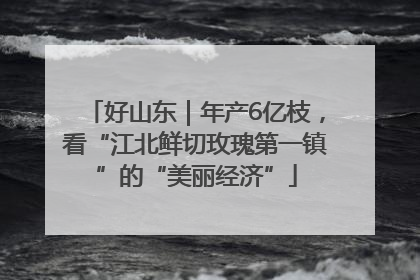 好山东｜年产6亿枝，看“江北鲜切玫瑰第一镇”的“美丽经济”