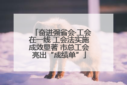 奋进强省会·工会在一线 工会法实施成效显著 市总工会亮出“成绩单”