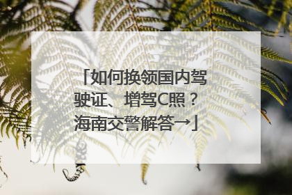 如何换领国内驾驶证、增驾C照？海南交警解答→