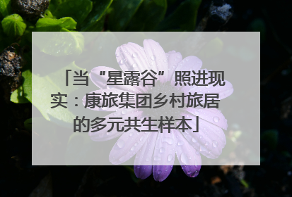 当“星露谷”照进现实：康旅集团乡村旅居的多元共生样本