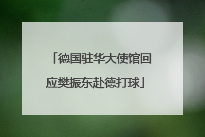 德国驻华大使馆回应樊振东赴德打球