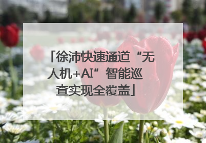 徐沛快速通道“无人机+AI”智能巡查实现全覆盖