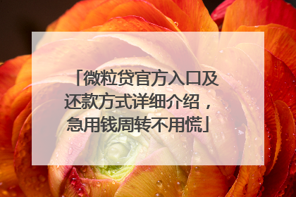 微粒贷官方入口及还款方式详细介绍，急用钱周转不用慌