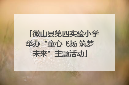 微山县第四实验小学举办“童心飞扬 筑梦未来”主题活动