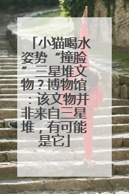 小猫喝水姿势“撞脸”三星堆文物？博物馆：该文物并非来自三星堆，有可能是它