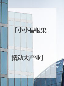 小小碧根果撬动大产业