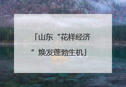山东“花样经济”焕发蓬勃生机