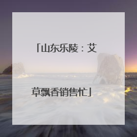 山东乐陵：艾草飘香销售忙