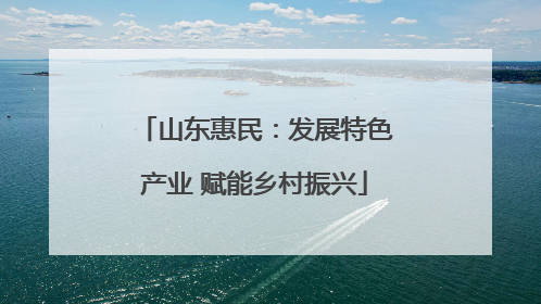 山东惠民：发展特色产业 赋能乡村振兴
