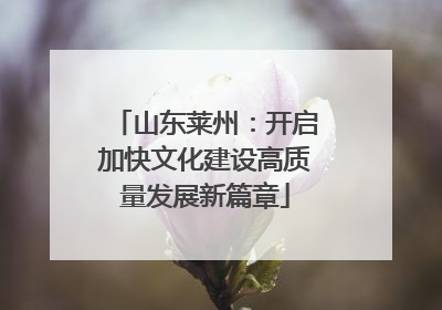 山东莱州：开启加快文化建设高质量发展新篇章