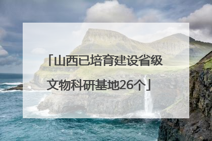 山西已培育建设省级文物科研基地26个