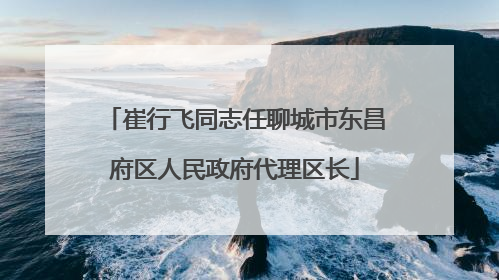崔行飞同志任聊城市东昌府区人民政府代理区长