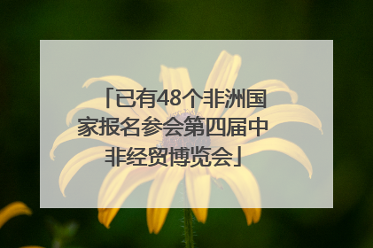 已有48个非洲国家报名参会第四届中非经贸博览会