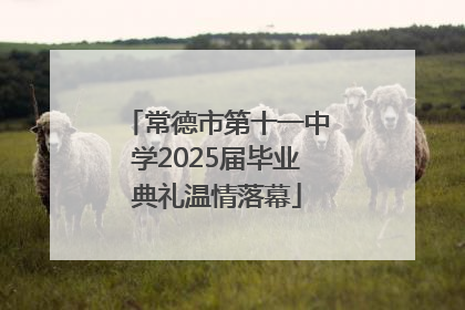 常德市第十一中学2025届毕业典礼温情落幕