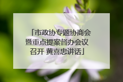 市政协专题协商会暨重点提案督办会议召开 黄喜忠讲话