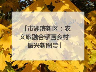 市湖滨新区：农文旅融合擘画乡村振兴新图景