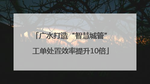 广水打造“智慧城管” 工单处置效率提升10倍