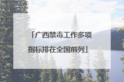 广西禁毒工作多项指标排在全国前列