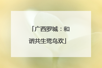 广西罗城：和谐共生鹭鸟欢