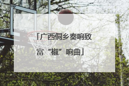 广西侗乡奏响致富“椒”响曲