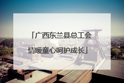 广西东兰县总工会情暖童心呵护成长
