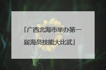 广西北海市举办第一届海员技能大比武