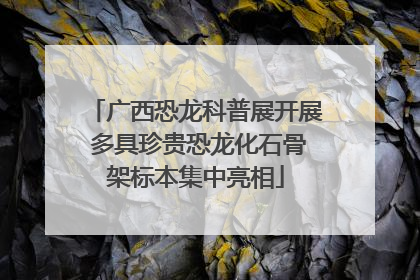 广西恐龙科普展开展 多具珍贵恐龙化石骨架标本集中亮相