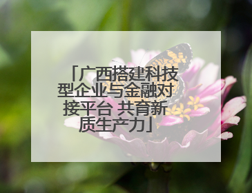 广西搭建科技型企业与金融对接平台 共育新质生产力