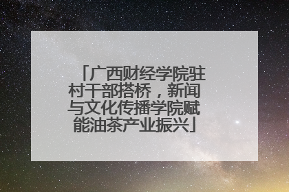 广西财经学院驻村干部搭桥，新闻与文化传播学院赋能油茶产业振兴