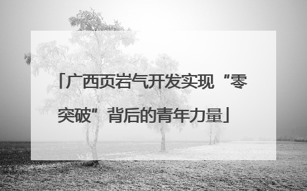 广西页岩气开发实现“零突破”背后的青年力量