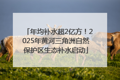 年均补水超2亿方！2025年黄河三角洲自然保护区生态补水启动
