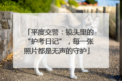 平度交警：镜头里的“护考日记”，每一张照片都是无声的守护