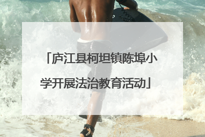 庐江县柯坦镇陈埠小学开展法治教育活动