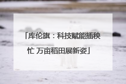 库伦旗：科技赋能插秧忙 万亩稻田展新姿