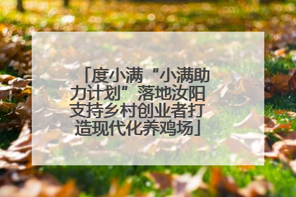 度小满“小满助力计划”落地汝阳支持乡村创业者打造现代化养鸡场