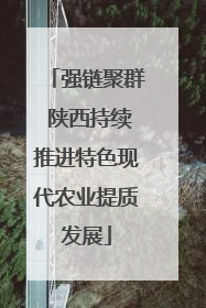 强链聚群 陕西持续推进特色现代农业提质发展