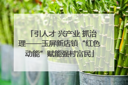 引人才 兴产业 抓治理——玉屏新店镇“红色动能”赋能强村富民